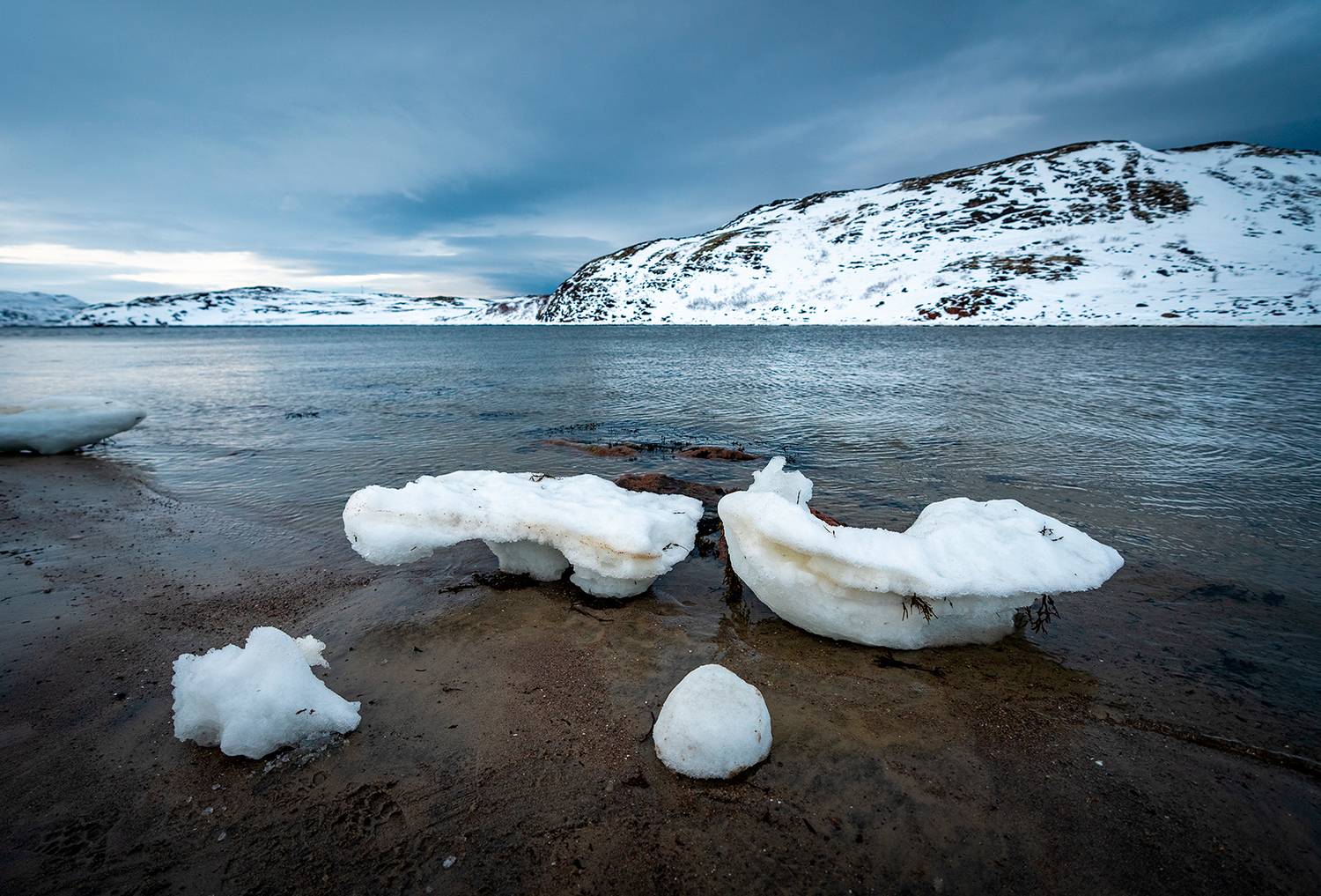 , Васильева Дарья