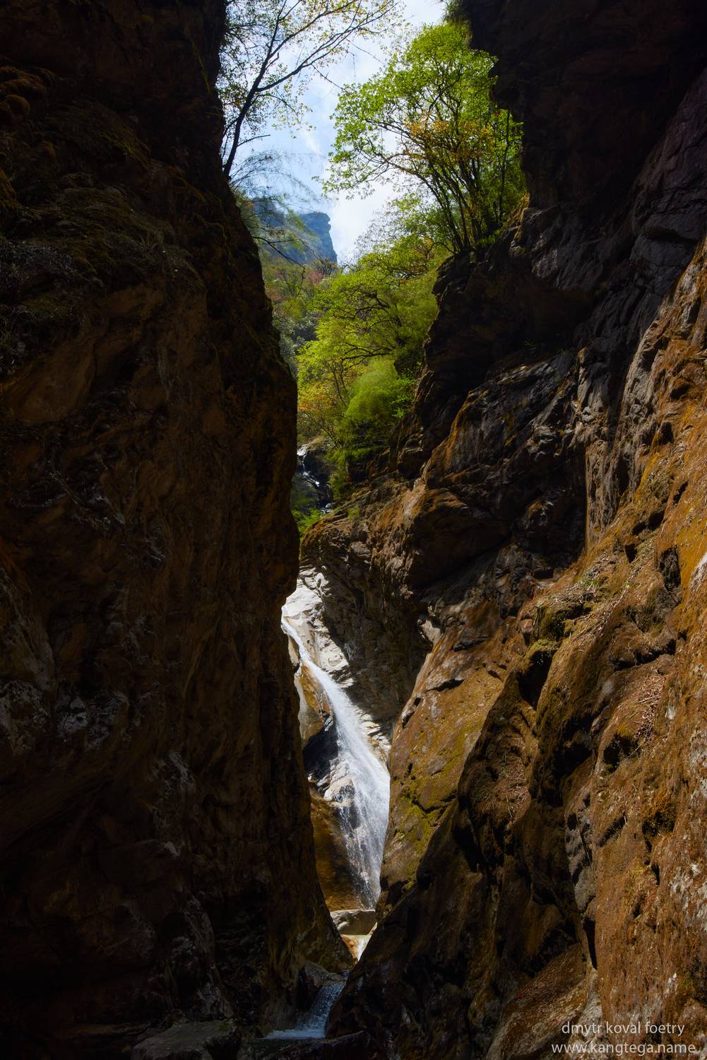 пейзажемагьё, Коваль Дмитр