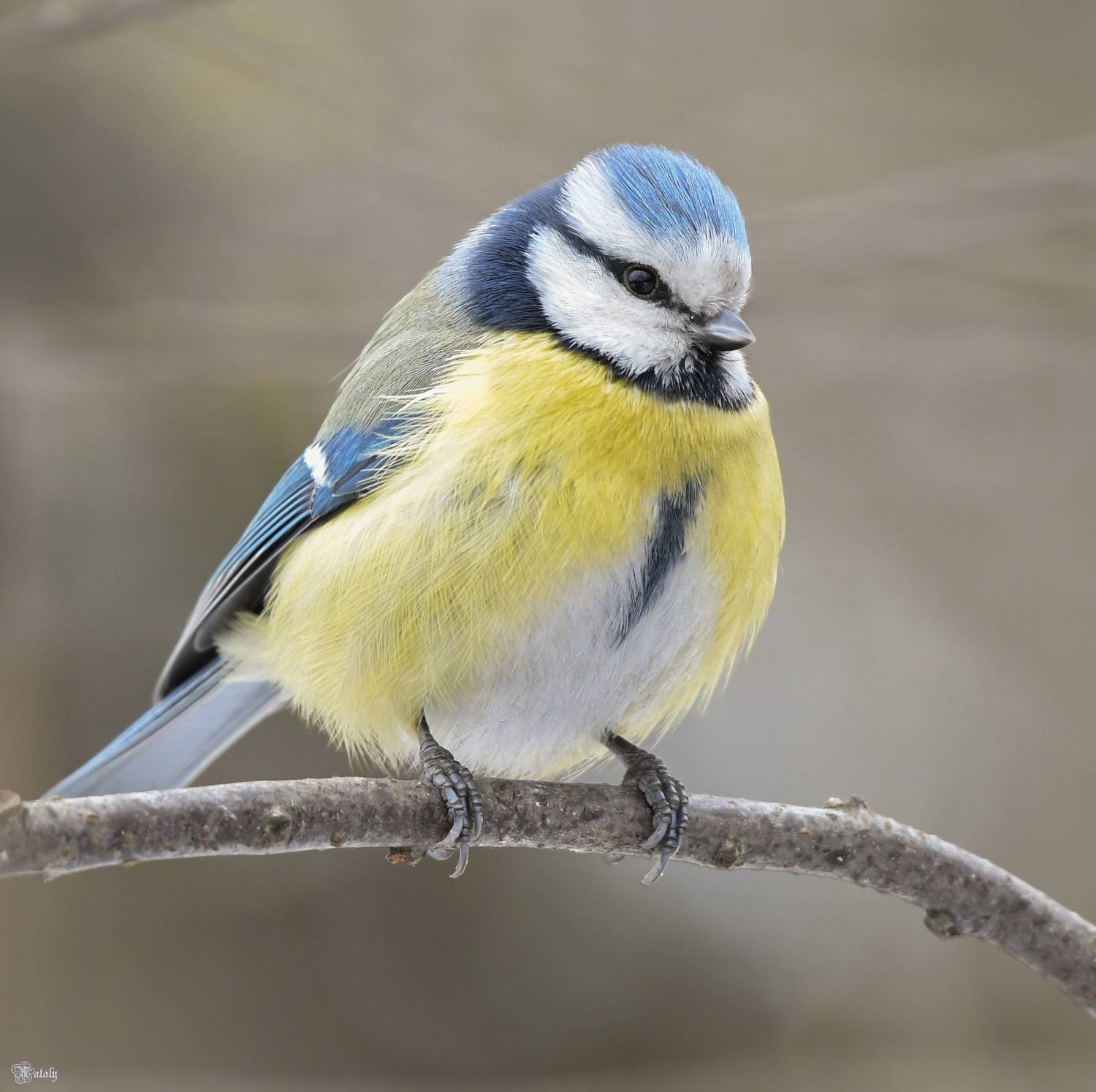 , Наталья Екимова