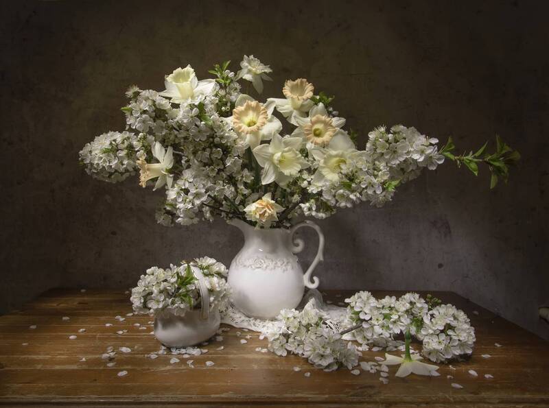 натюрморт, нарциссы, яблоня Нежность весны фото превью