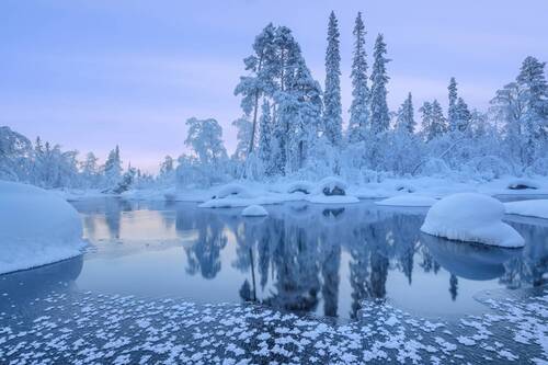 Голубое утро...