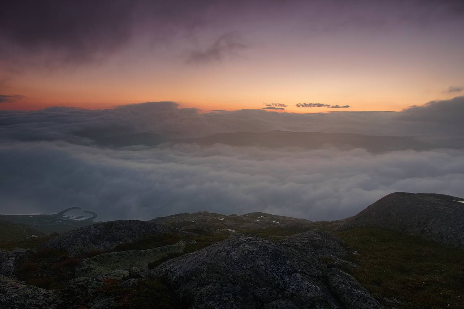 , Wojciech Tarnowski