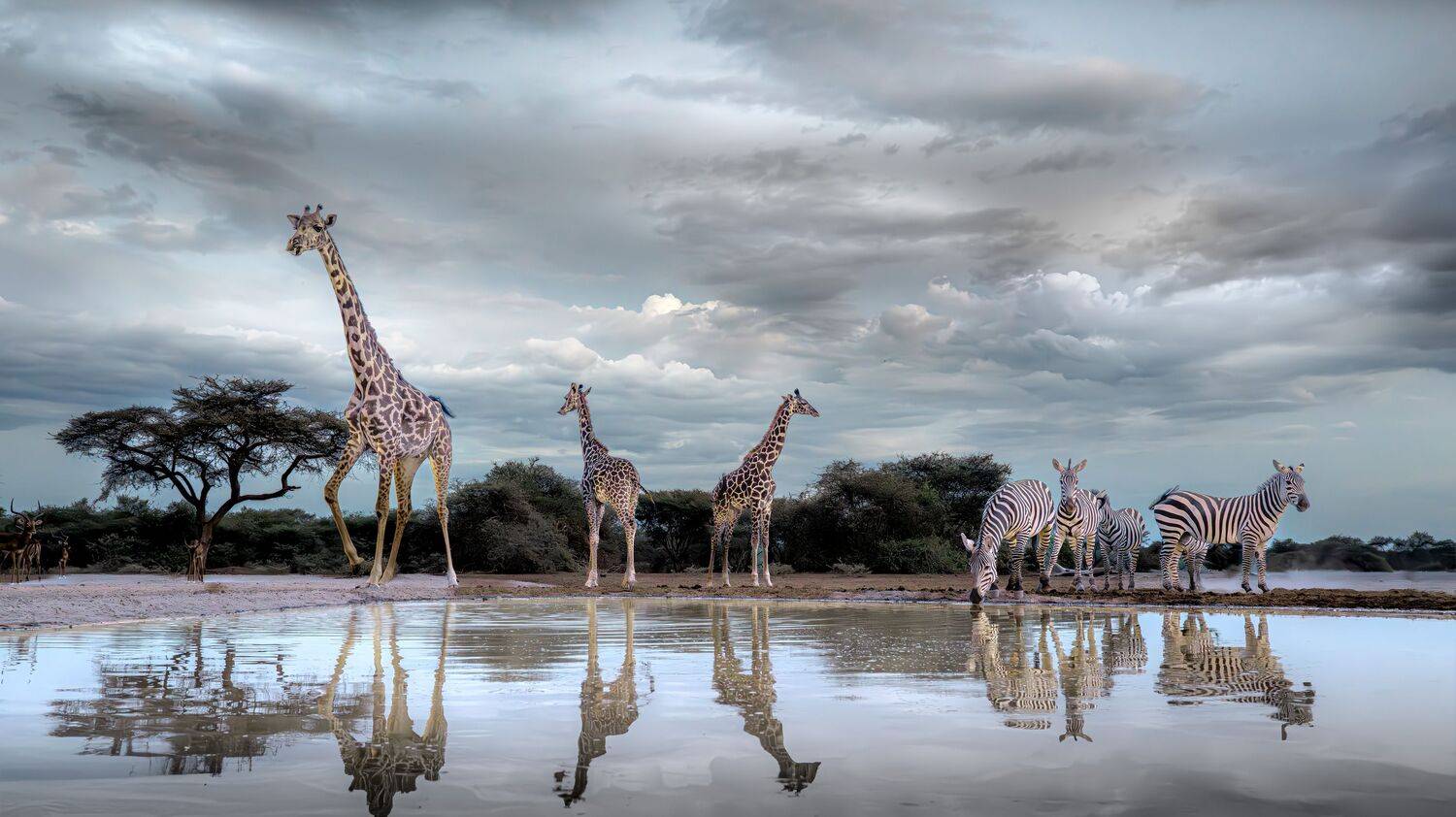 Кения, Сулоев Алексей