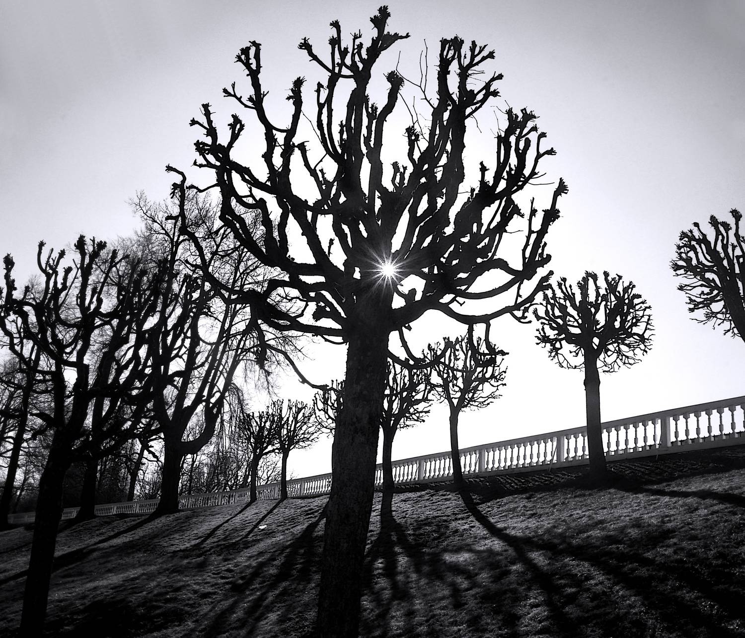 , Сергей Григорьев