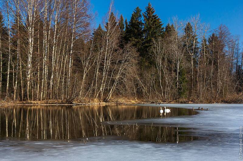 валдай Весна на Валдае фото превью