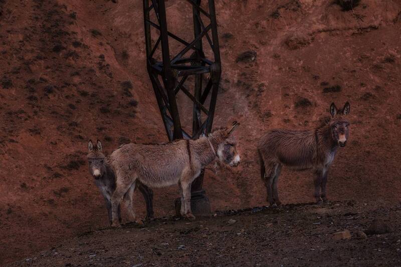 кыргызстан Семья фото превью