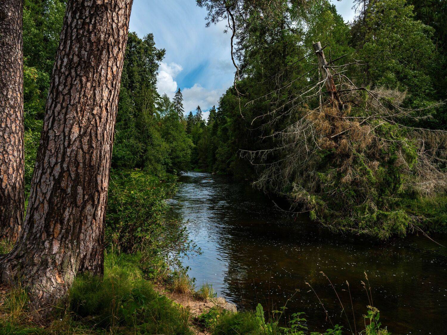 , Олегович Сергей