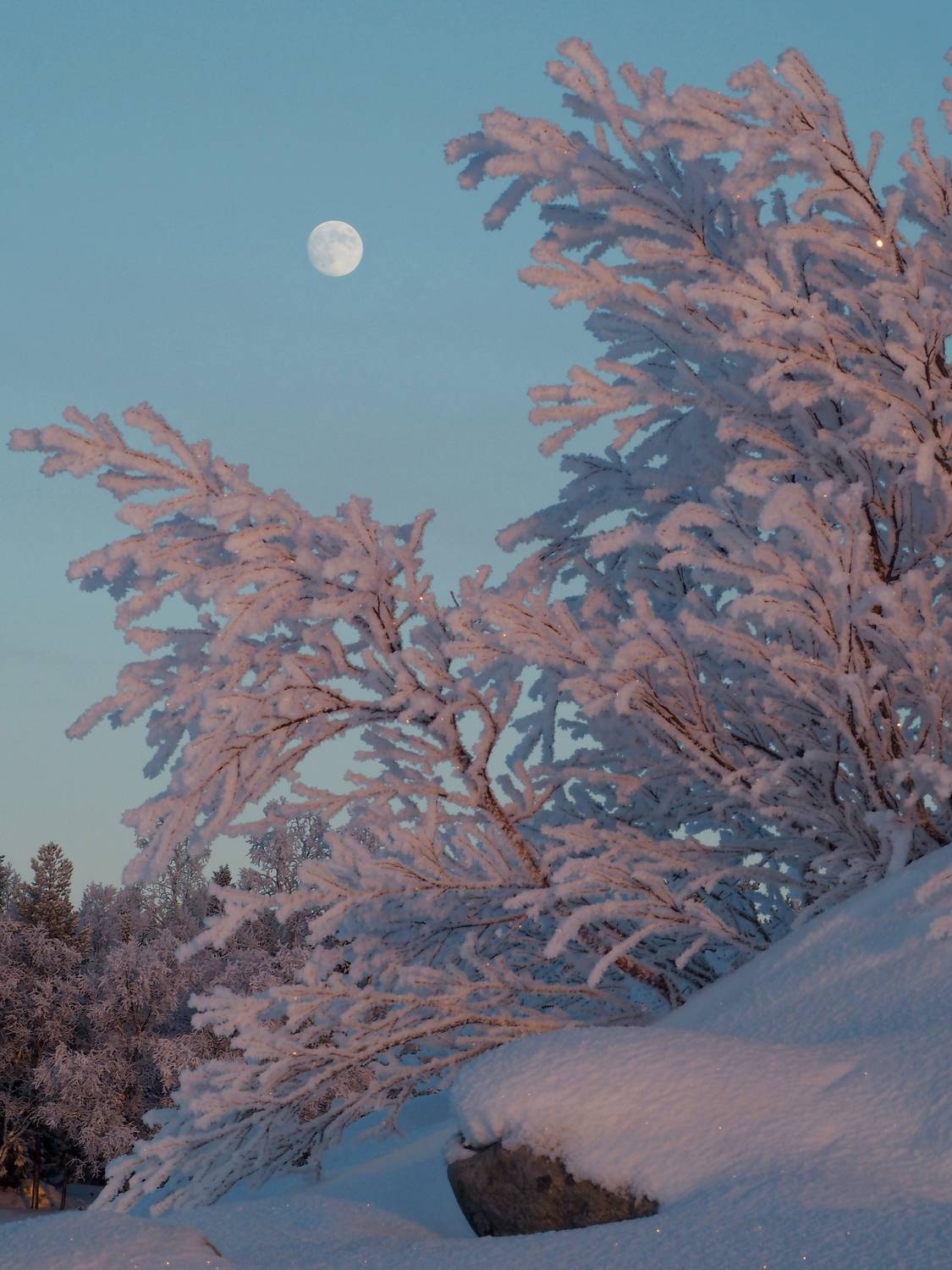 , Яковлев Евгений