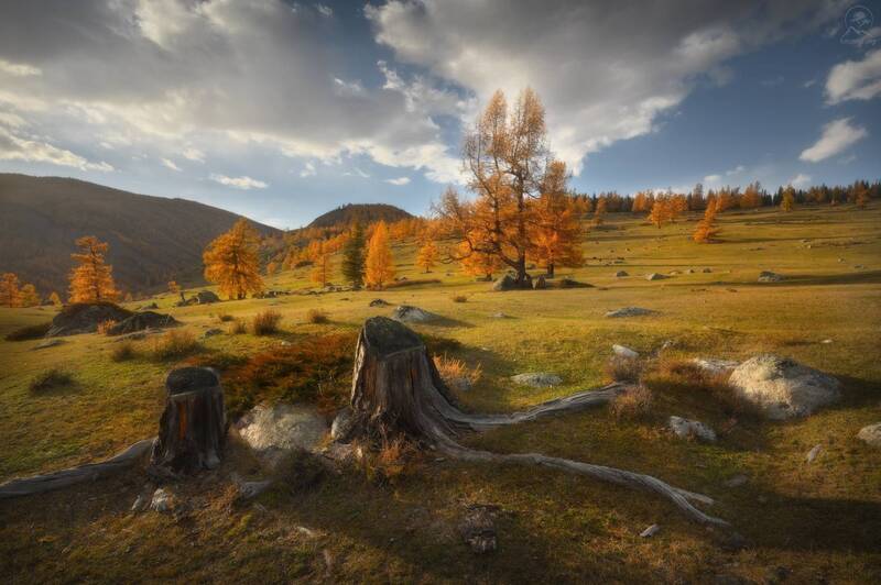 алтай, осень, горы, лиственницы, фототур на алтай, фототуры 2026 Вечер в Беляшах фото превью