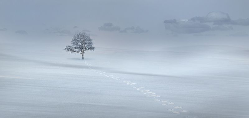Final Journey фото превью