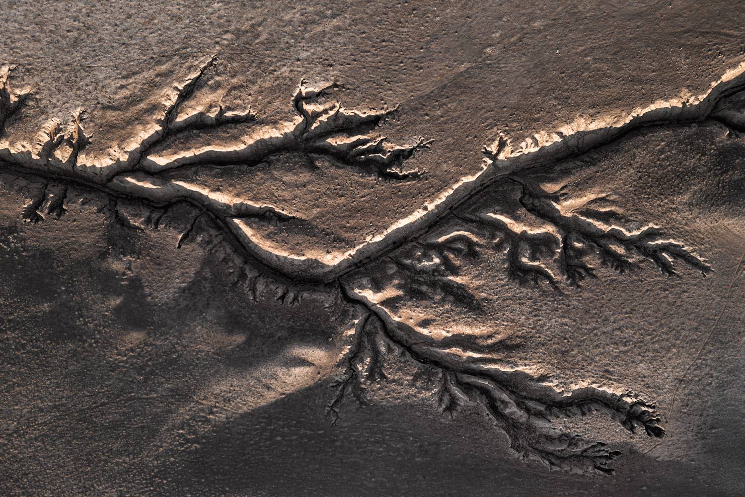 , Михаил Харитонычев