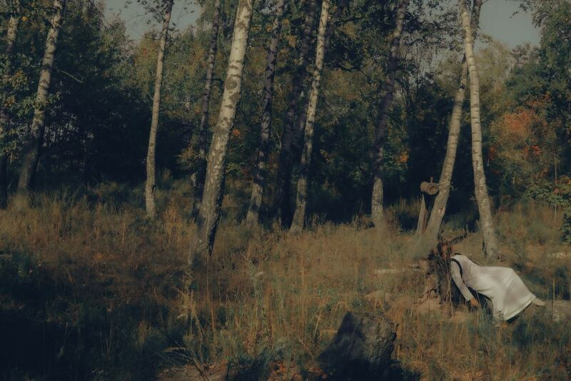 Осенний лес фото превью