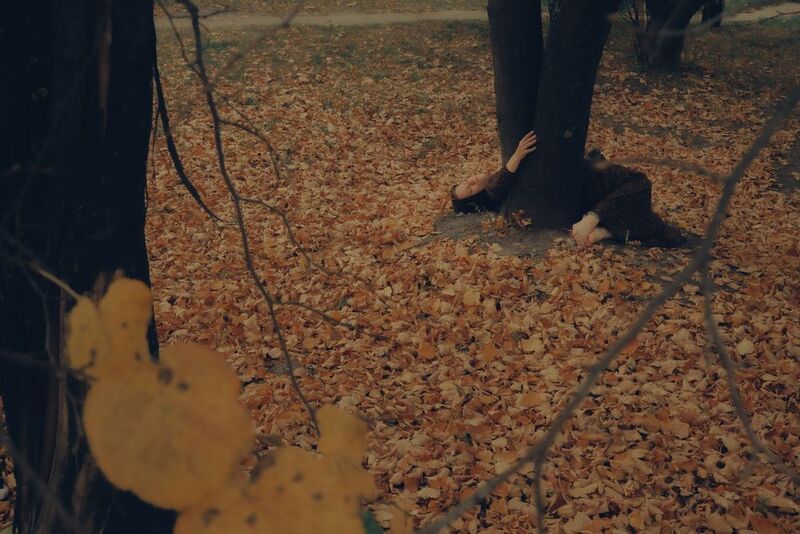 Припасть к земле фото превью