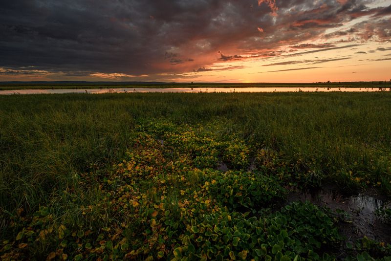 На закате фото превью