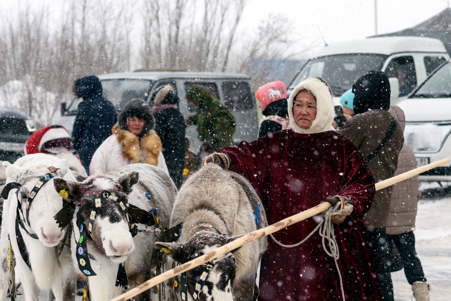 ненцы, ненка, оленеводы, олени, янао, надым, Сторожев Олег