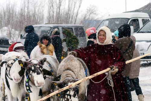Жена оленевода