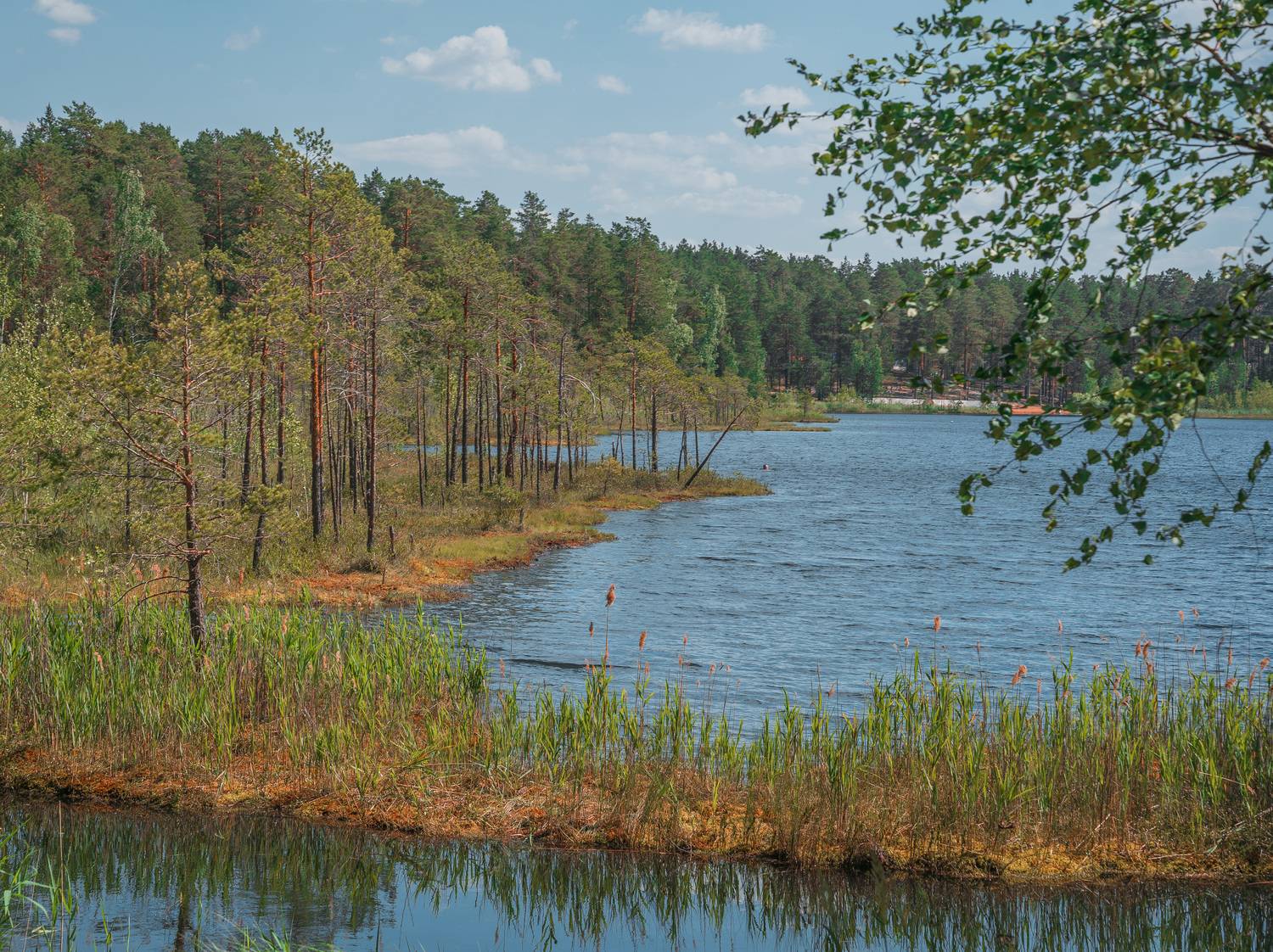 , Кирилл Огинов