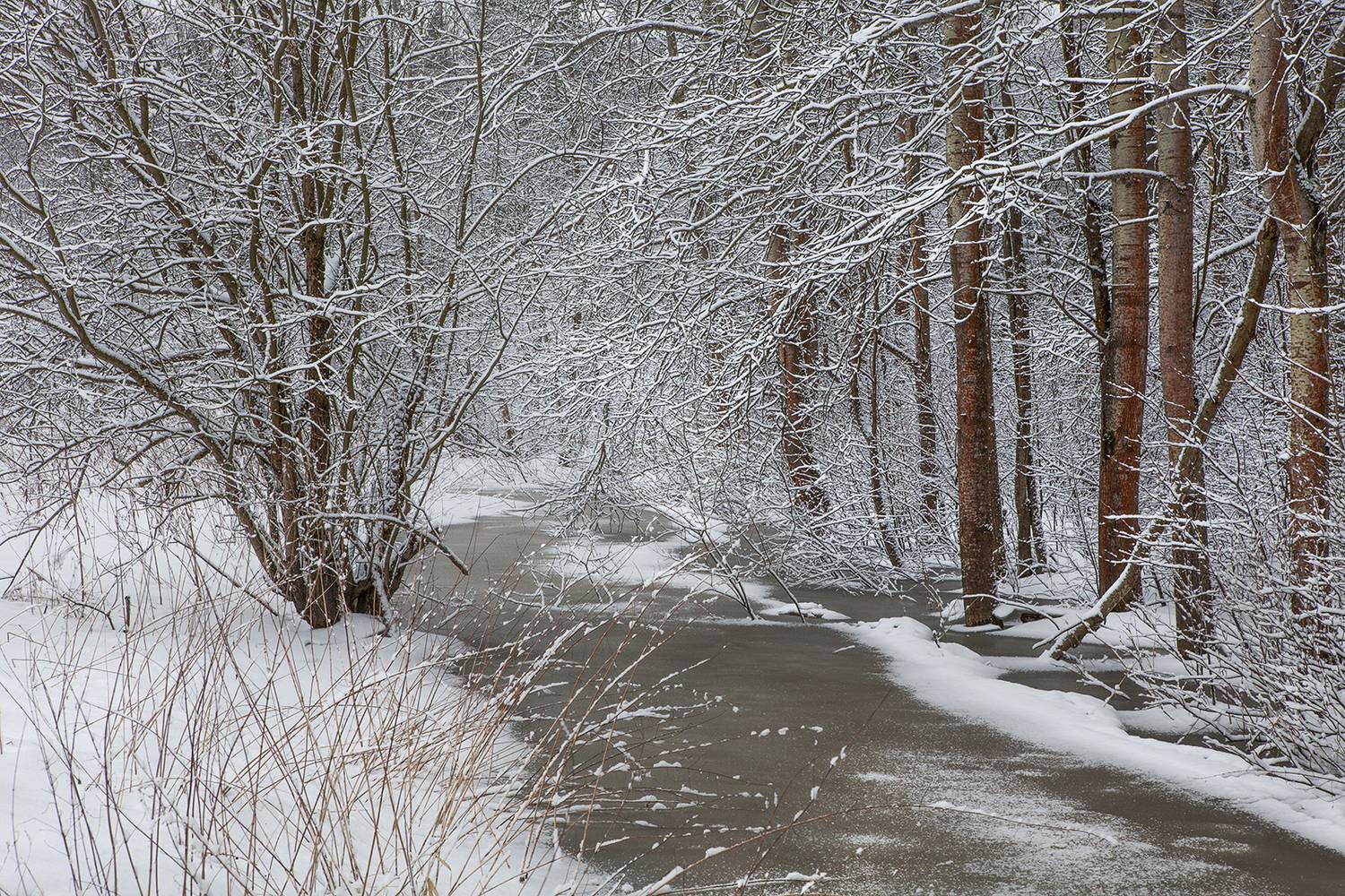 , Aleksandr Mihailov