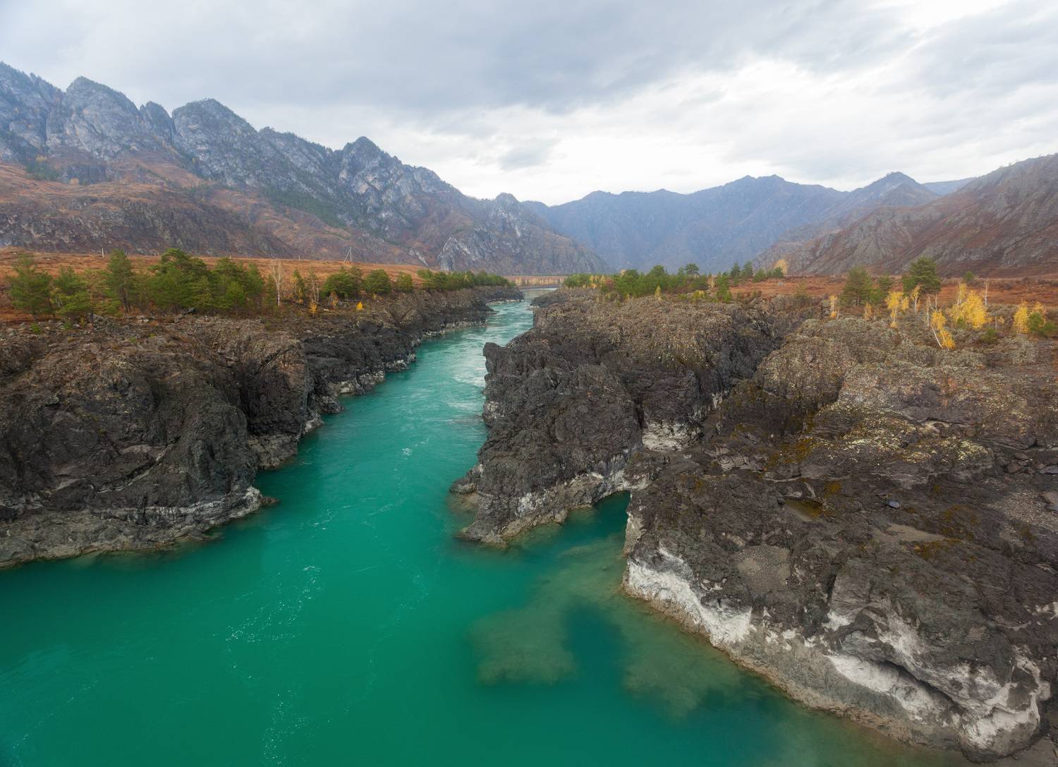 , Сергей Молоков