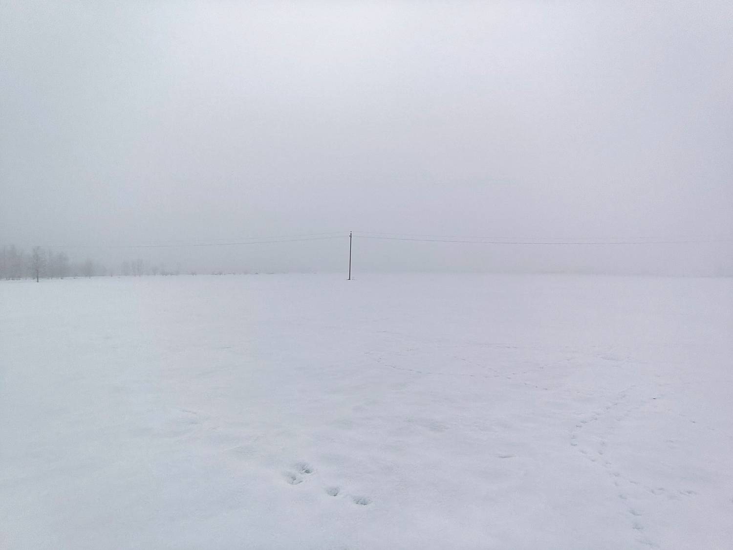 , Кондрашова Светлана