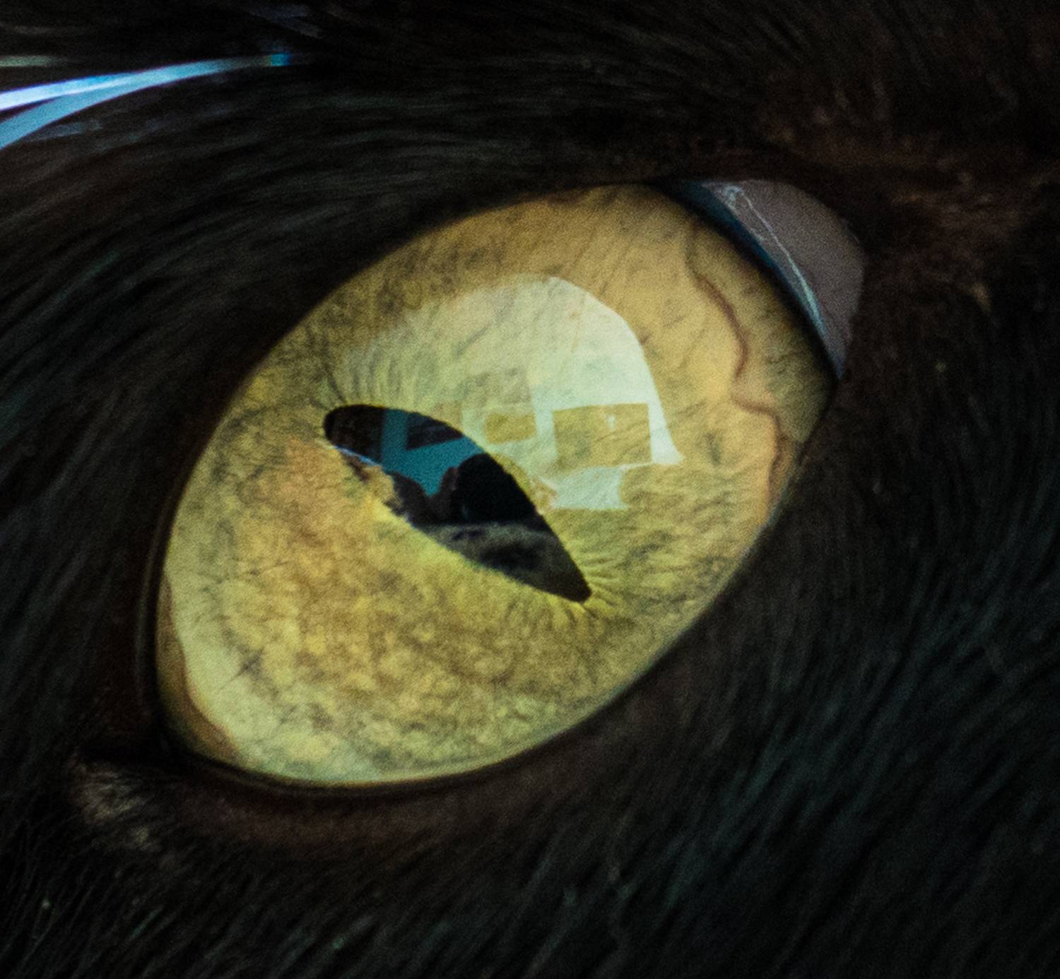 , Чернышев Валерий