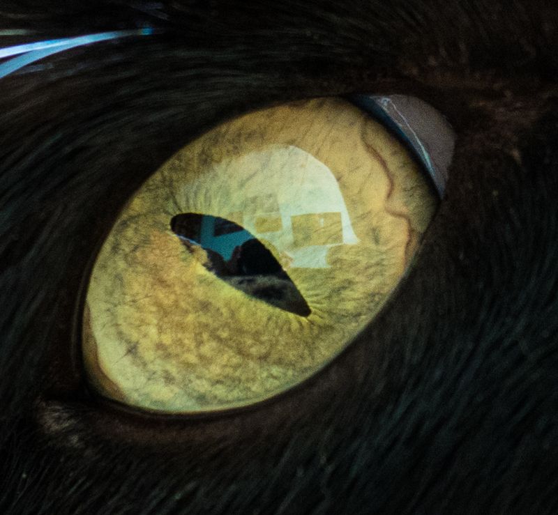 Взгляд фото превью