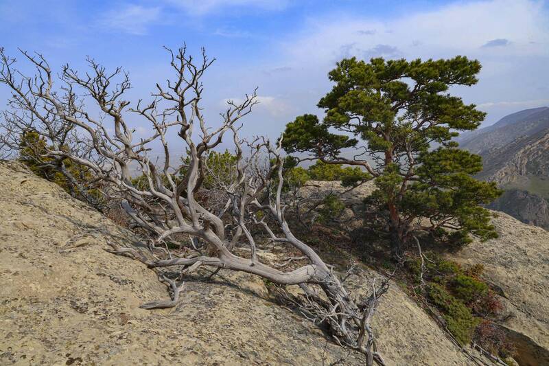 горы, пейзаж, дагестан Горный пейзаж.. фото превью