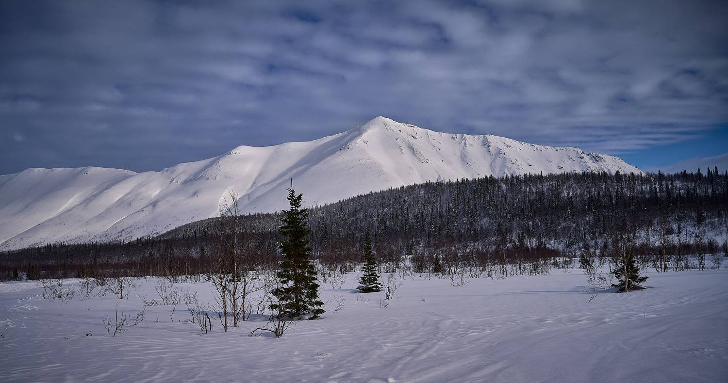, Борис Дацковский