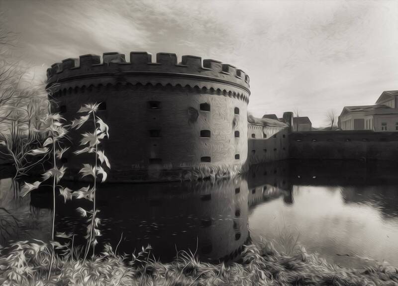 Чёрно-белая осень. фото превью