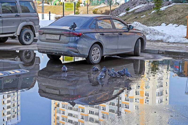 Весна в городе фото превью