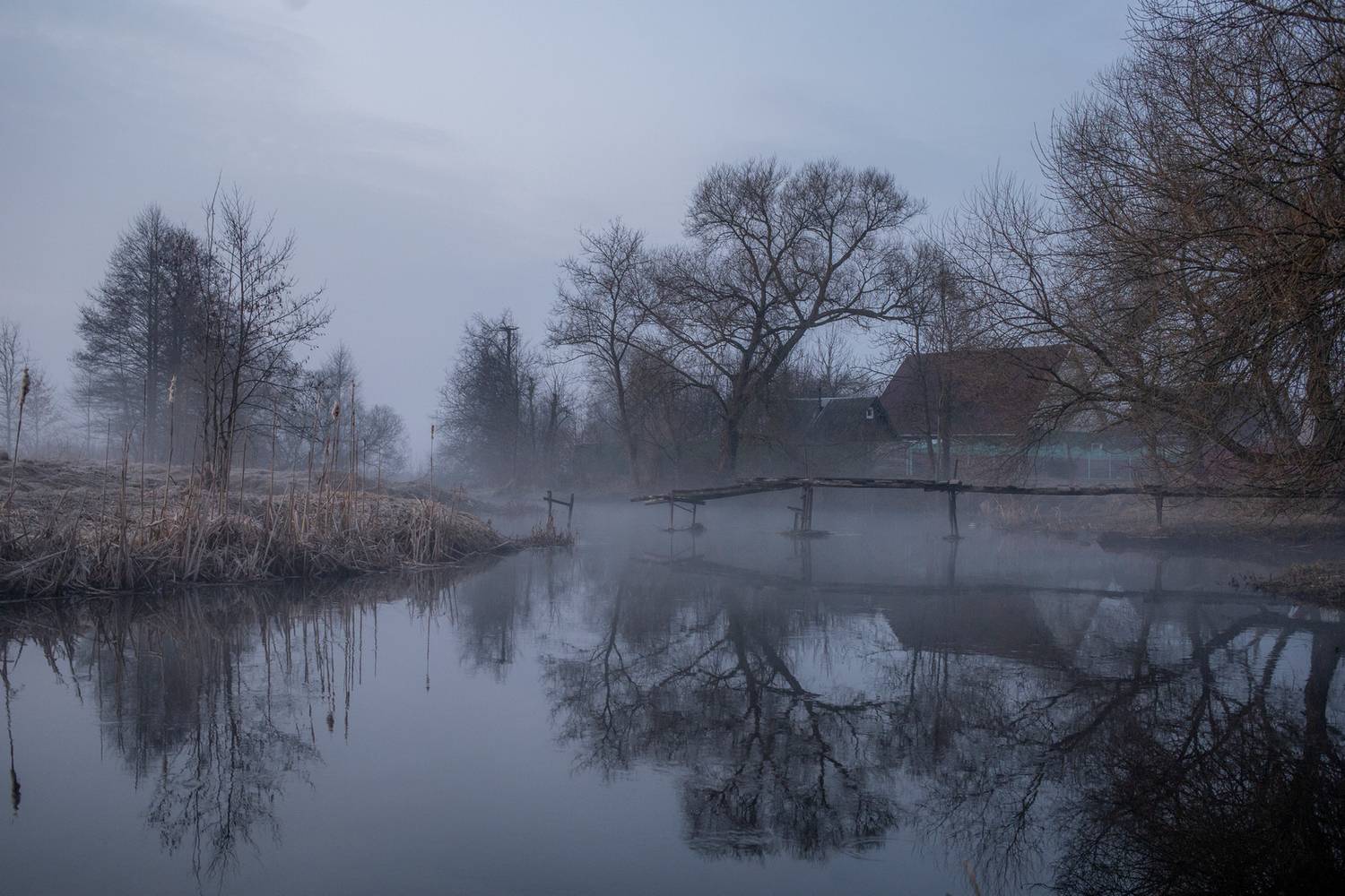 , Игорь Денисов