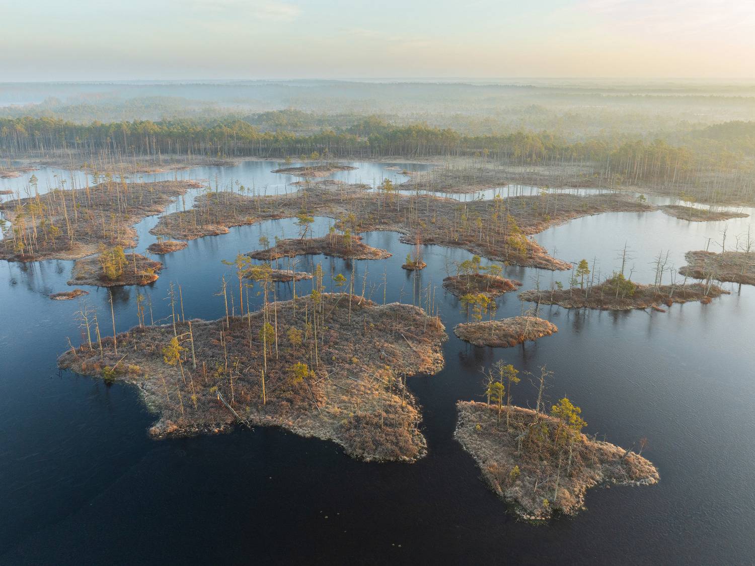 , Гордон Николай