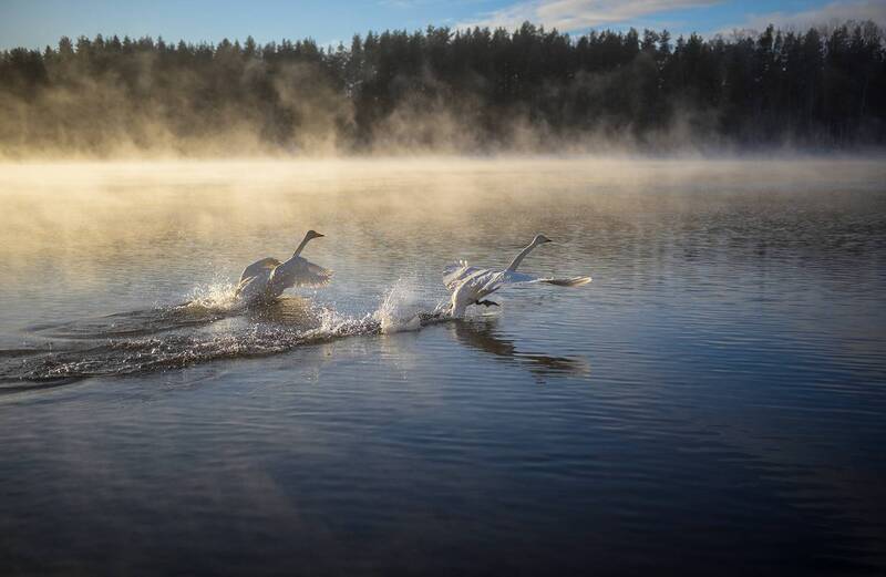 .... фото превью