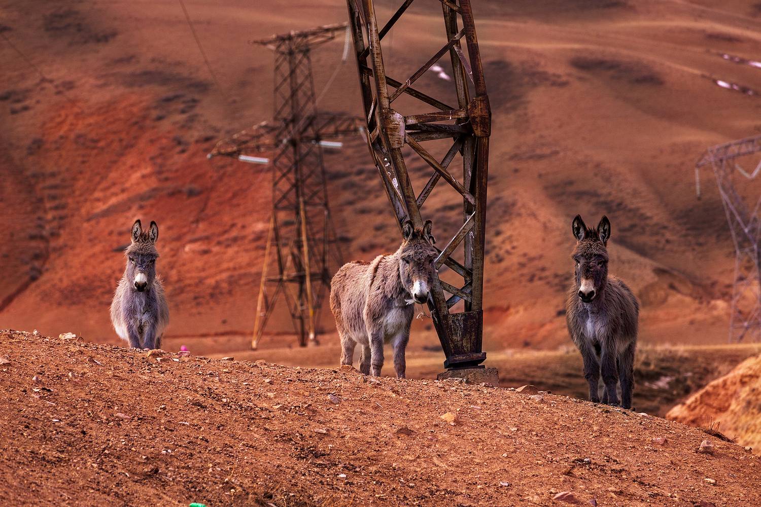 кыргызстан, Элина Магалимова