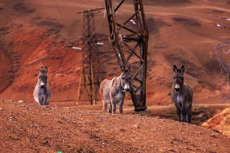 кыргызстан Марсианские хроники фото превью