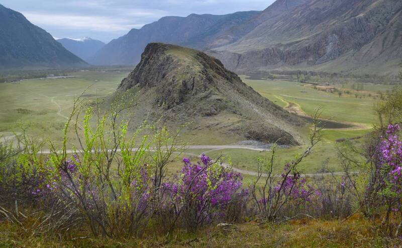 Весна фото превью