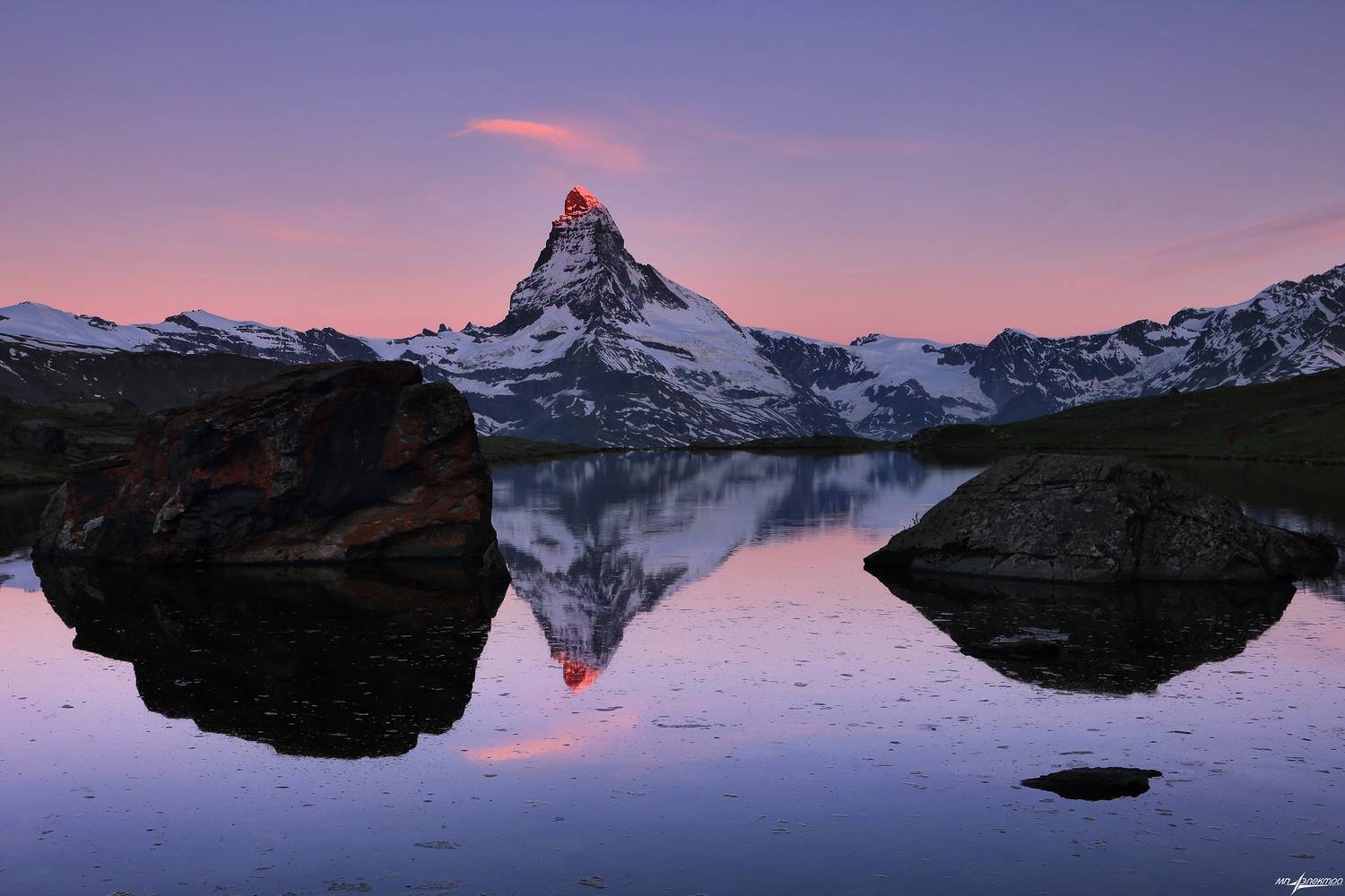 swiss, Матвеев Николай