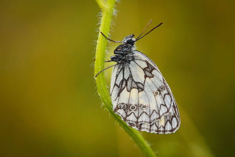 Эстетика фото превью