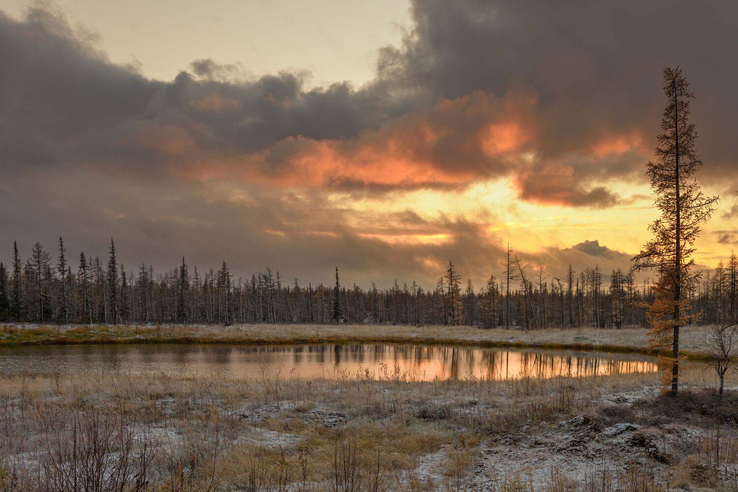 тундра, небо, осень, пейзаж, янао, надым, Сторожев Олег