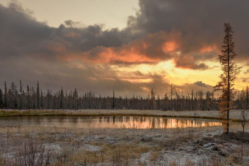 Осень фото превью