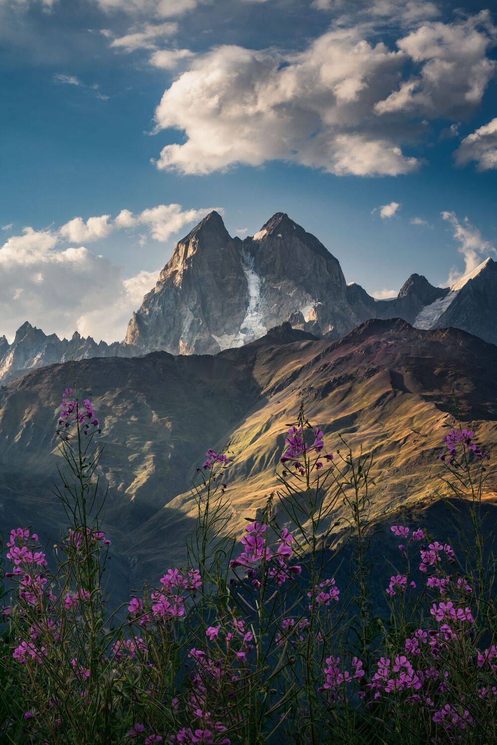 , Вукотић Никола