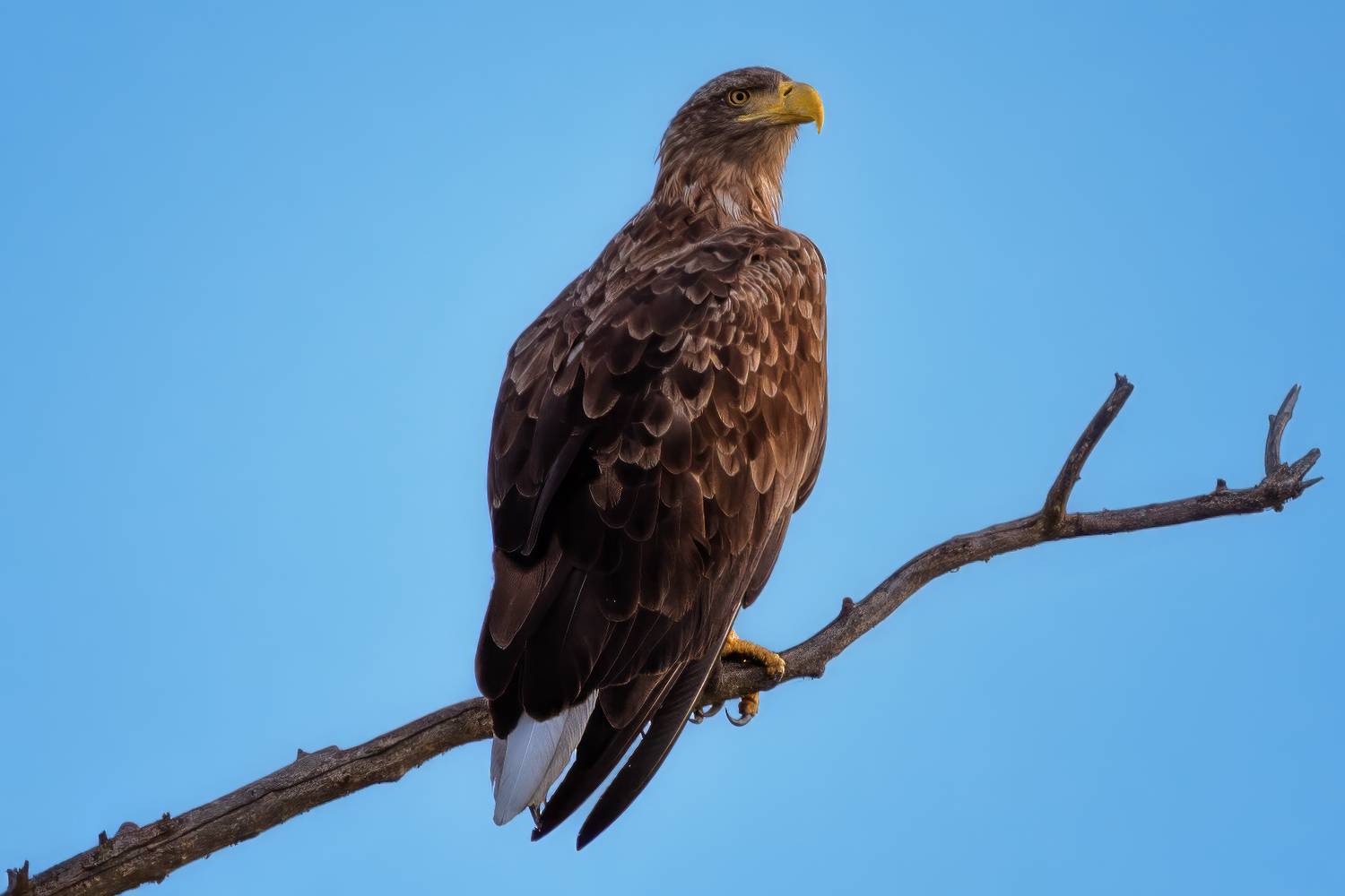 , Рудаков Глеб