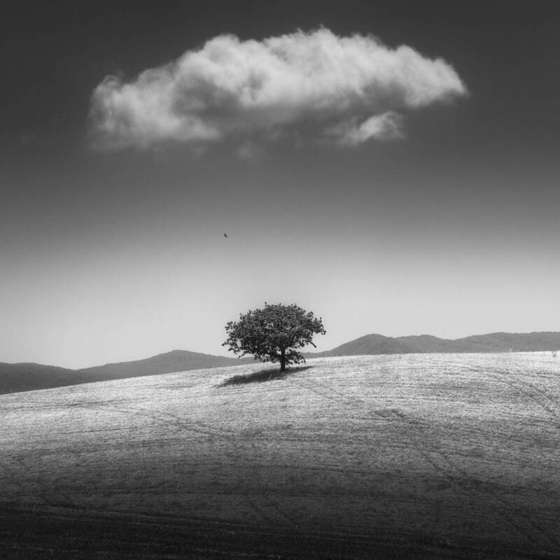 When the Sky Forgot to Fall фото превью