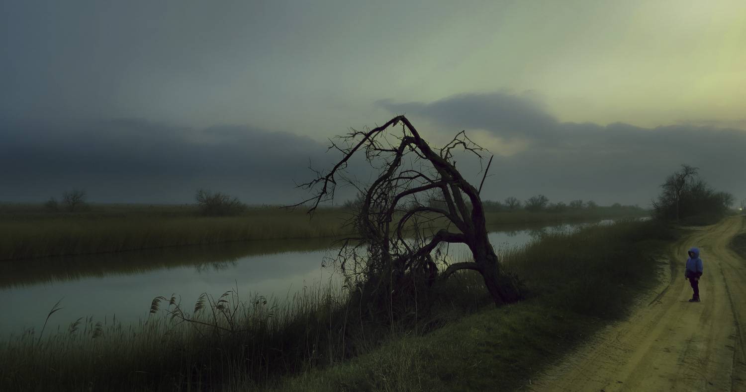 , Пирог Борис