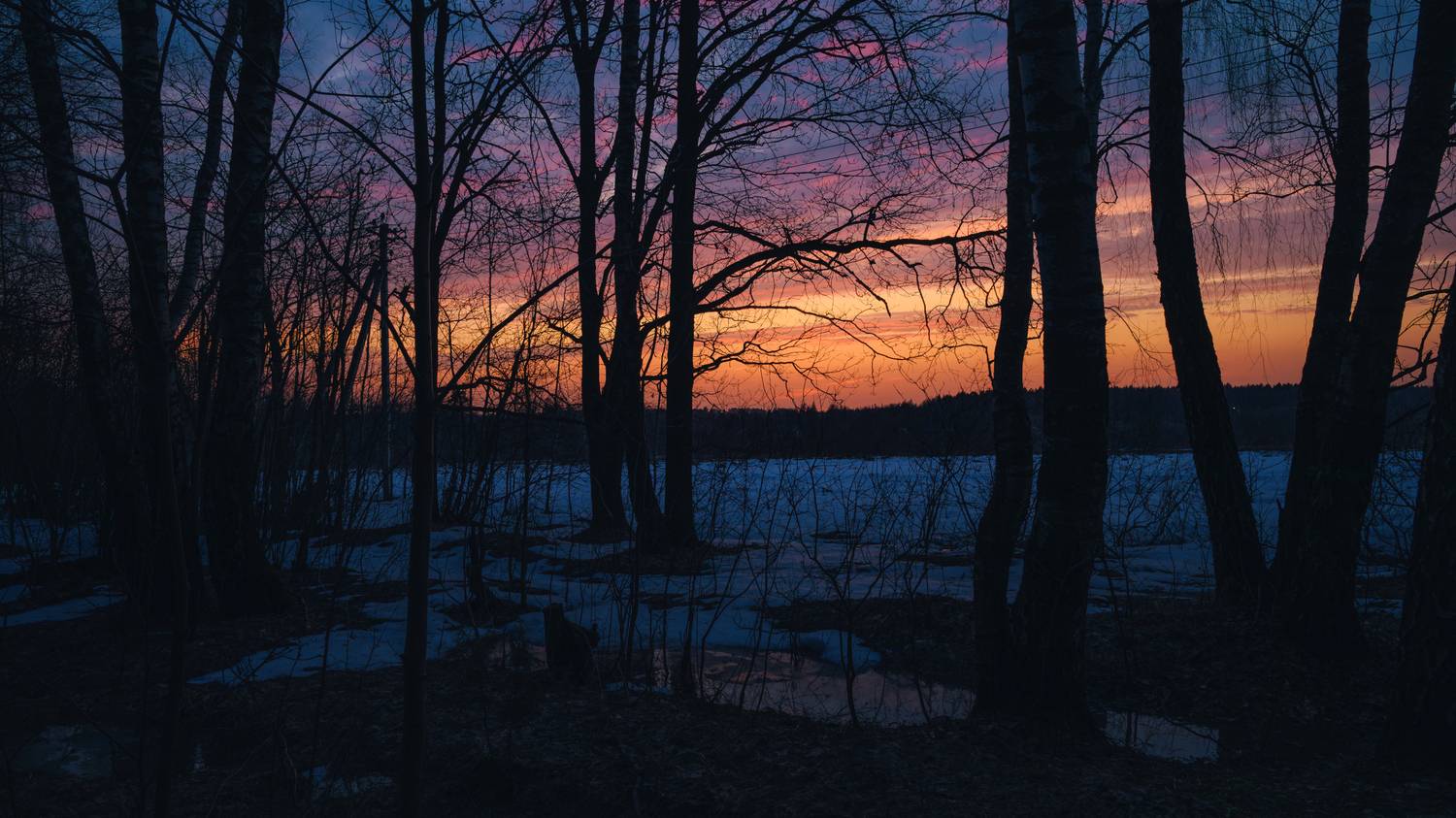 forest, sunset, evening, nature, clouds, sky, tree, morning, sunrise, field, landscape, rural, Андрей Козлов