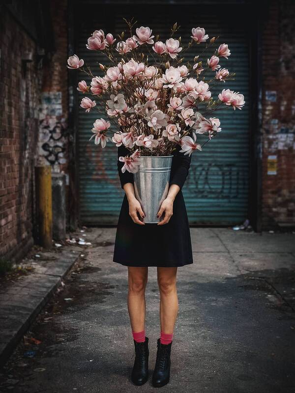 Magnolia фото превью