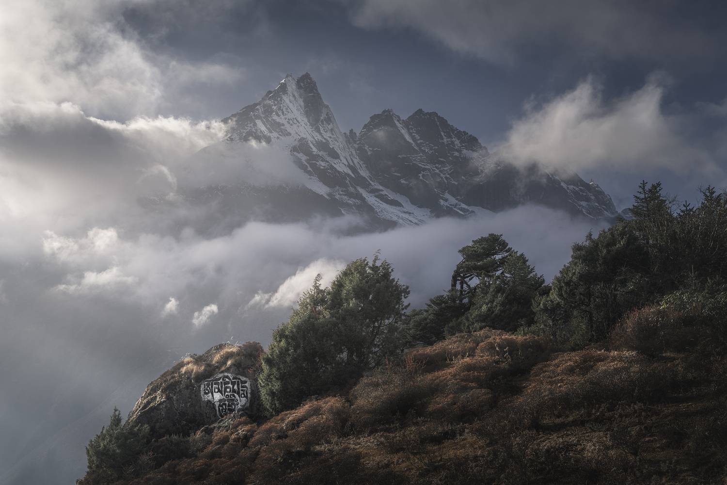 , Политова Анна