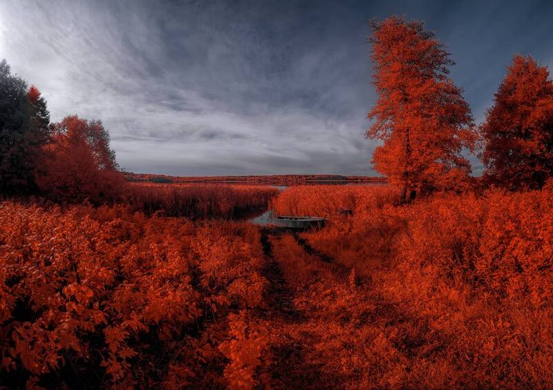 infrared, инфракрасная фотография, ик-фото, пейзаж, осень Немного о теплой осени фото превью