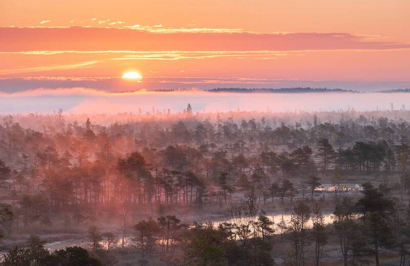На рассвете фото превью