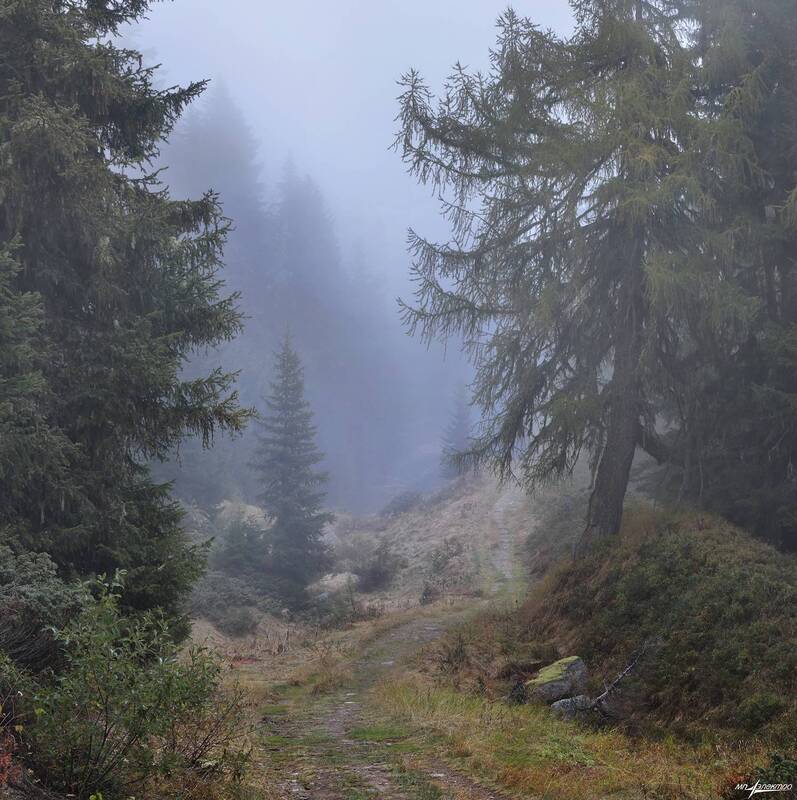 swiss Дороги... фото превью